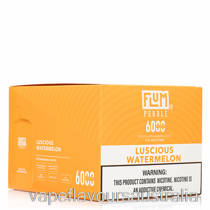 Vape Australia [10-Pack] Flum Pebble 6000 Disposable